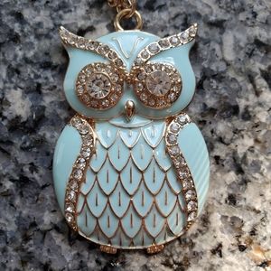 Vintage Turquoise Enamel Owl Necklace